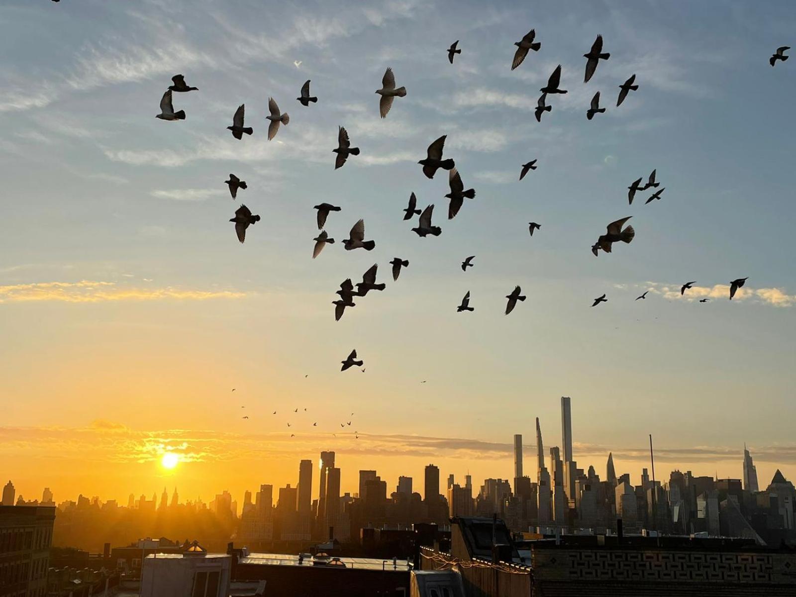 Ny Skyline One Of A Kind View Apartment Union City Bagian luar foto